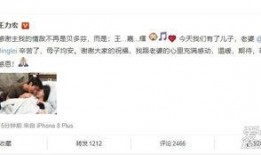 明星资讯号是什么 今日十大社会热点,今日十大社会热点聚焦