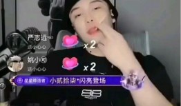 网红黑料视频,视频背后的真相与反思